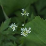 P6013248-scaled-1-2048×1366