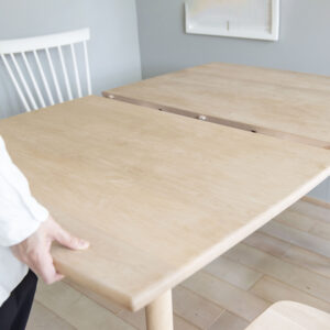 WWW_EXTENSIONTABLE – WHAT WE WANT